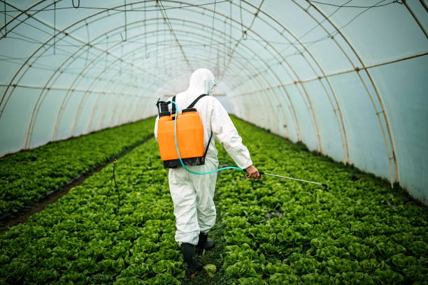 Best Affordable Pest Control Services  in Ellsworth, ME