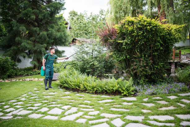 Best Mosquito Control Services  in Ellsworth, ME
