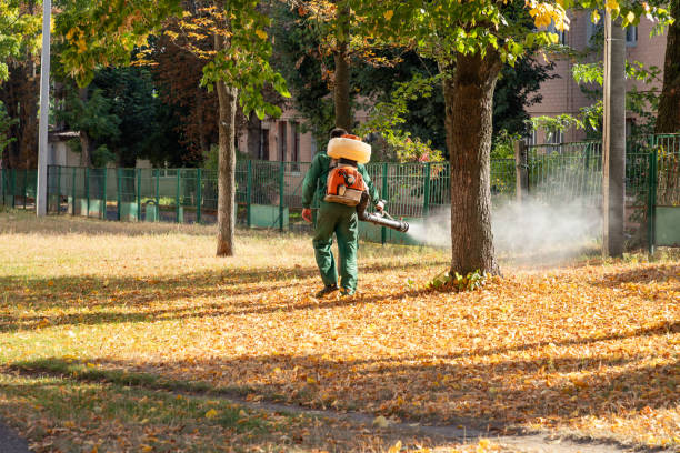 Best Emergency Pest Control  in Ellsworth, ME