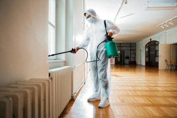Best Rat Extermination Near Me  in Ellsworth, ME