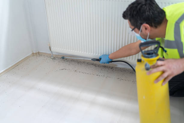 Best Pest Removal Services  in Ellsworth, ME