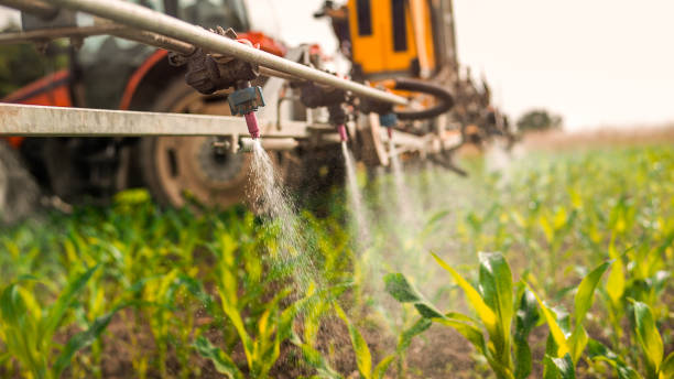 Best Commercial Pest Control Services  in Ellsworth, ME